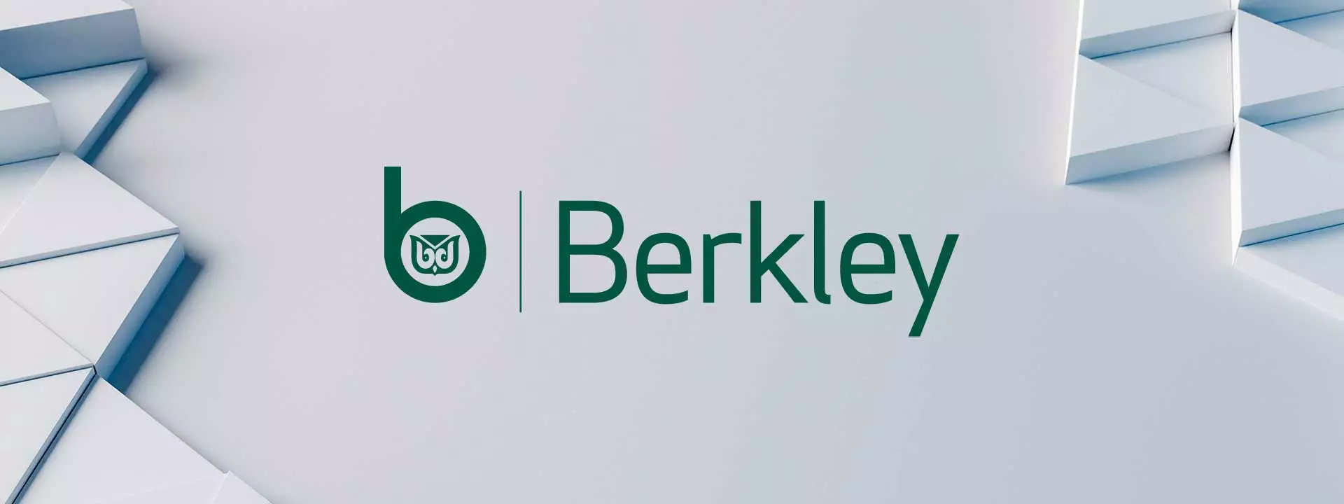 Logo Berkley Seguros